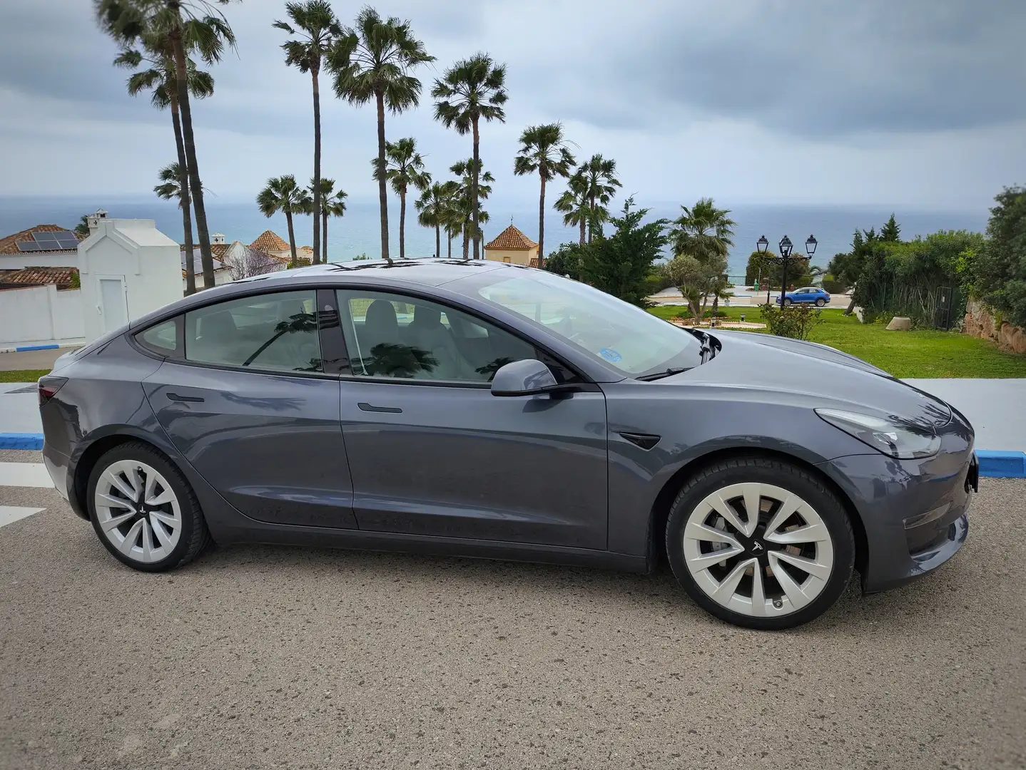 Tesla Model 3 Model 3 Long-Range RWD Gris - 1