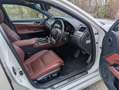 Lexus GS 350 F-Sport/Leder/MarkLevinson/LED/Sitzbel/Sitzhzg/JDM Weiß - thumbnail 16