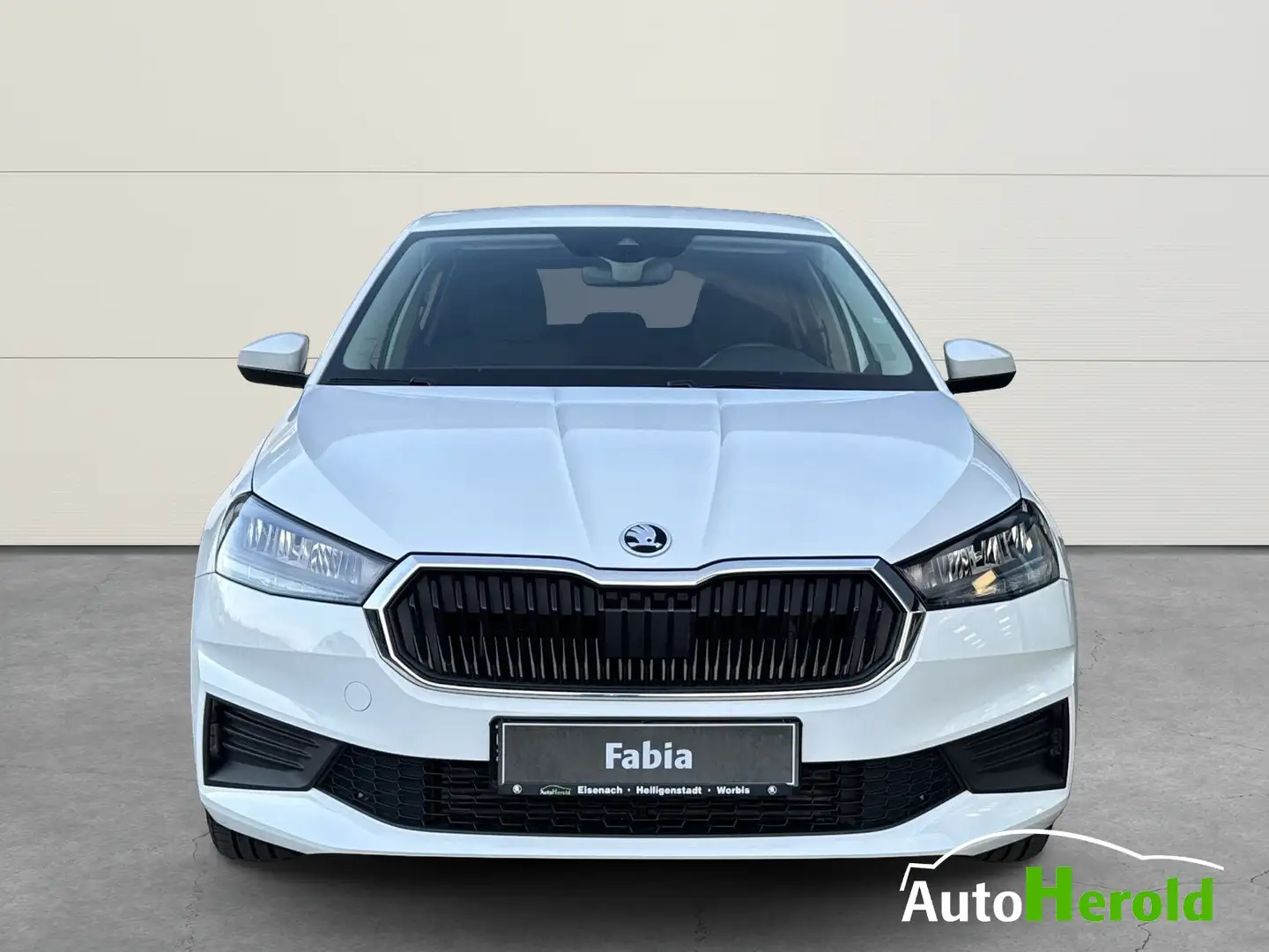 Skoda Fabia Ambition Navi PDC Scheckheft Blanc - 2