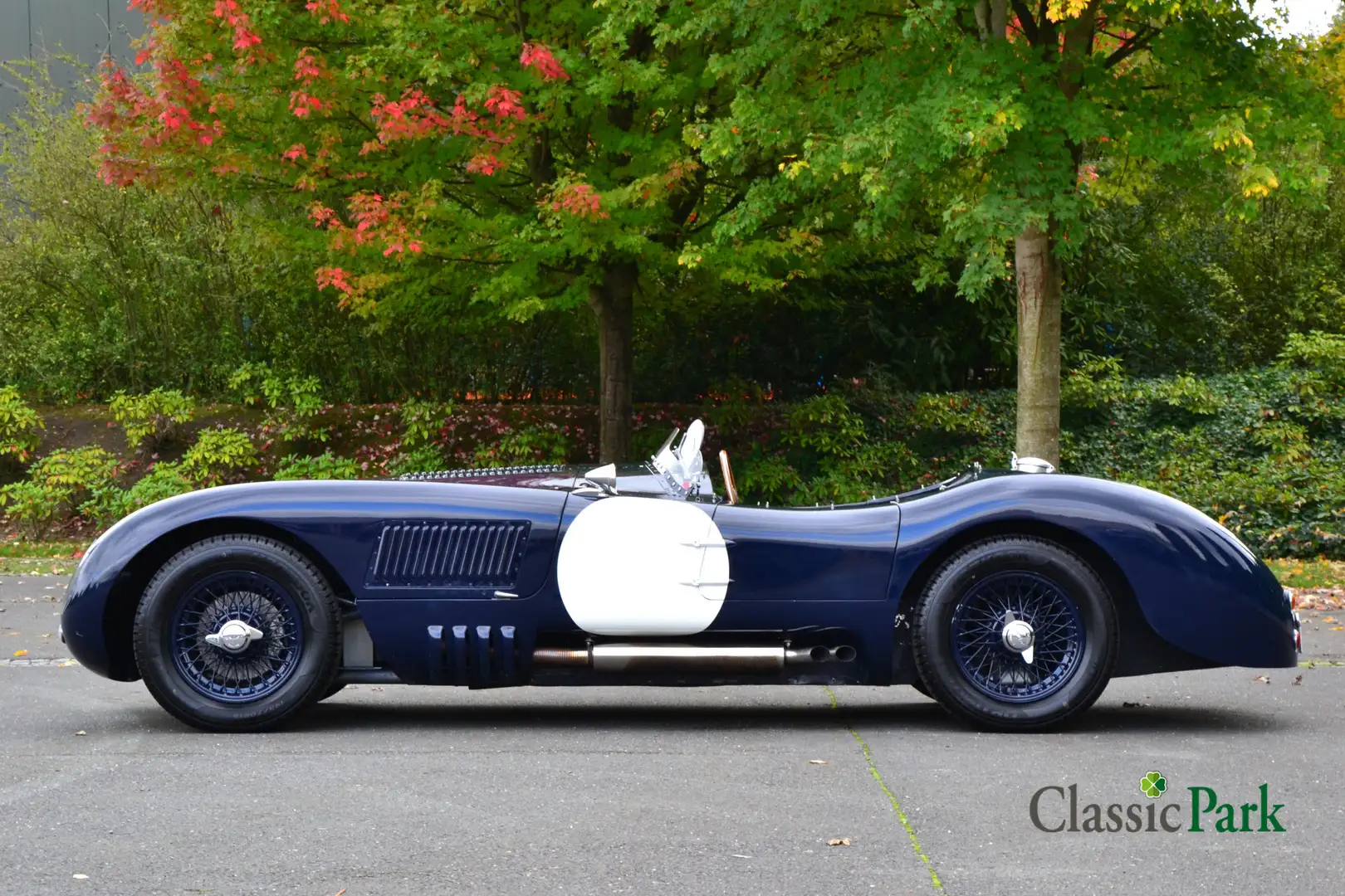 Jaguar C-Type Heritage Replica Bleu - 2
