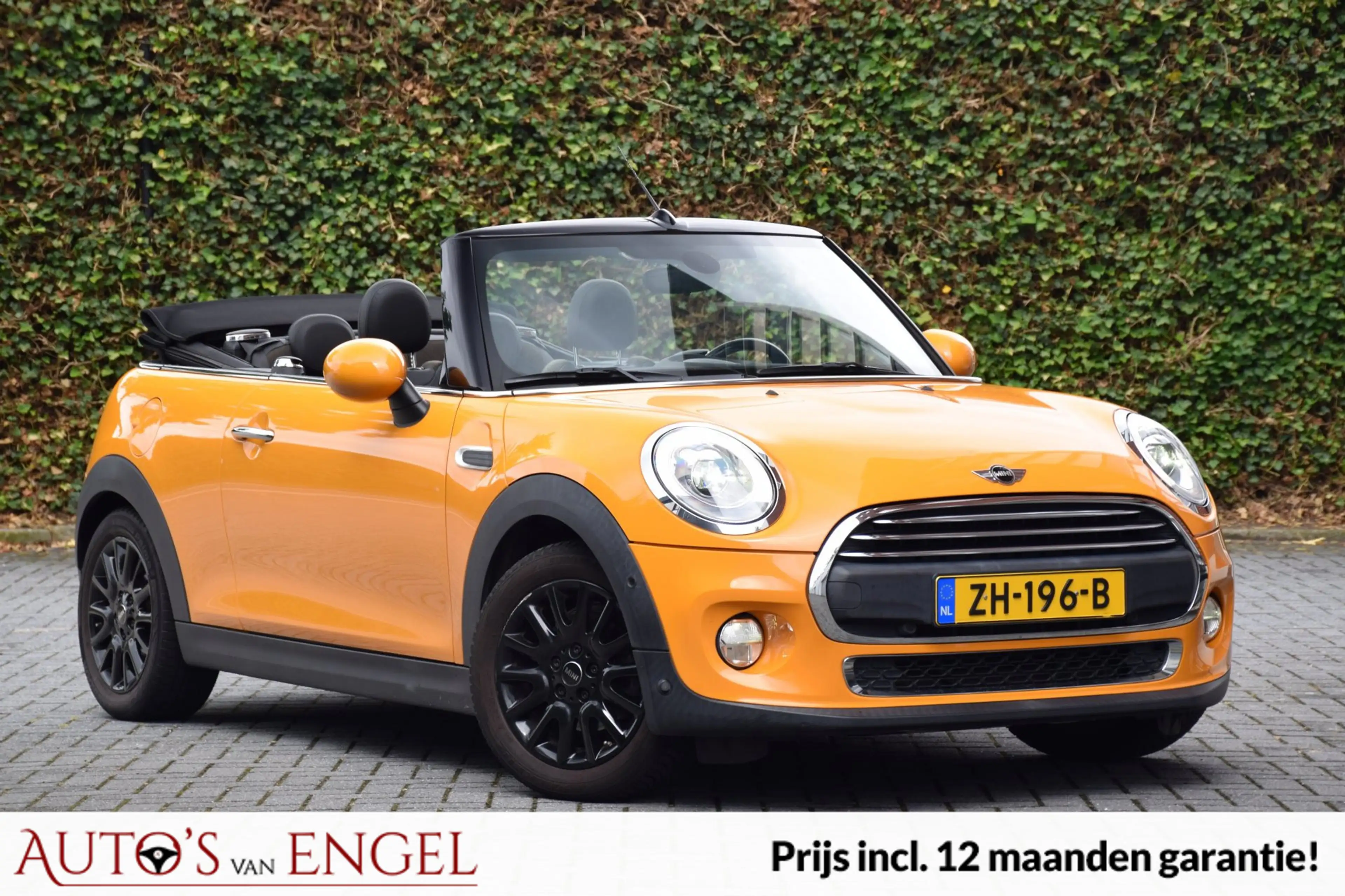 MINI One Cabrio 1.2 Pepper/Goed onderhouden/NW banden/Stoelverwarm — photo 3
