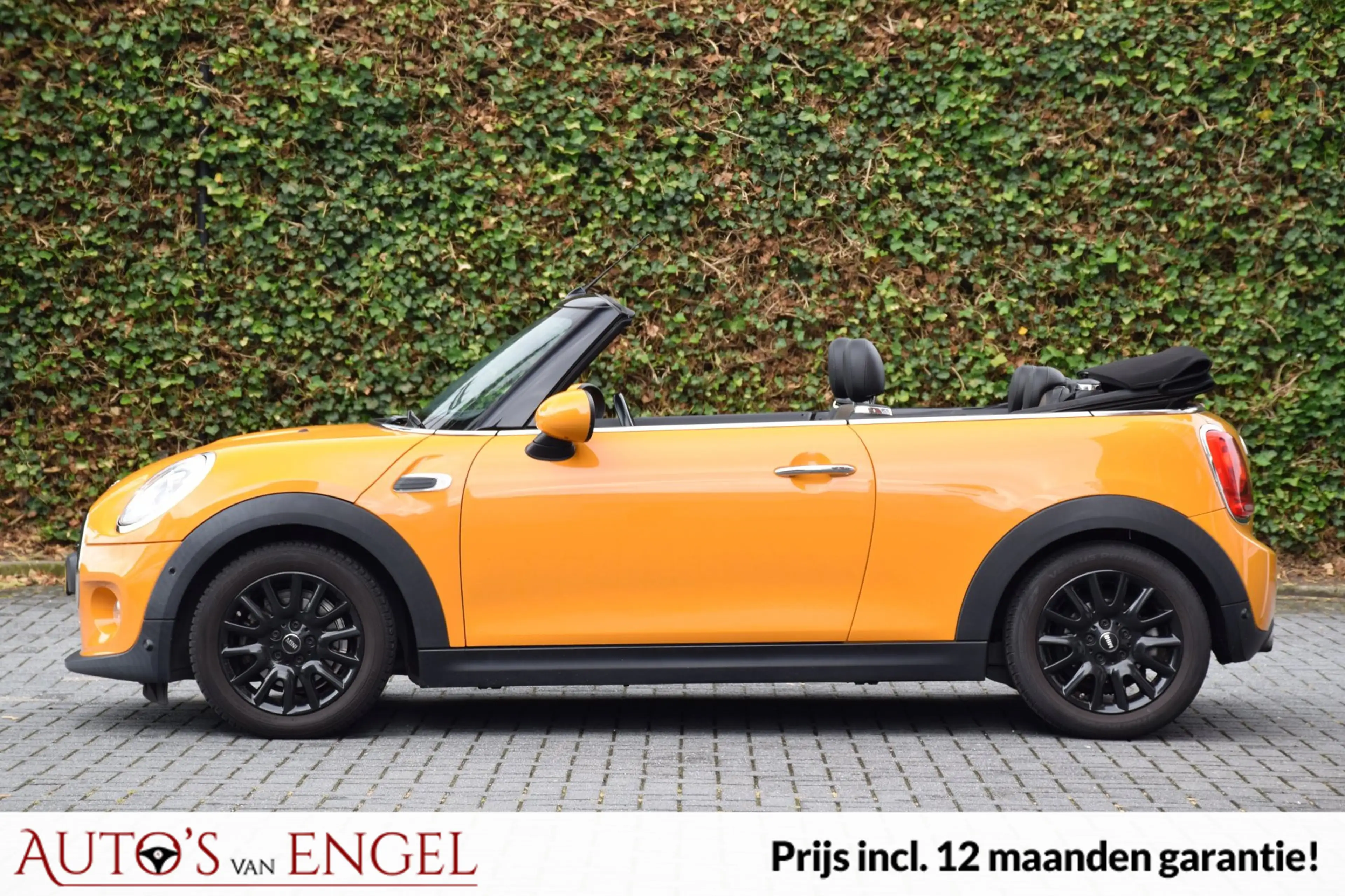 MINI One Cabrio 1.2 Pepper/Goed onderhouden/NW banden/Stoelverwarm — photo 10