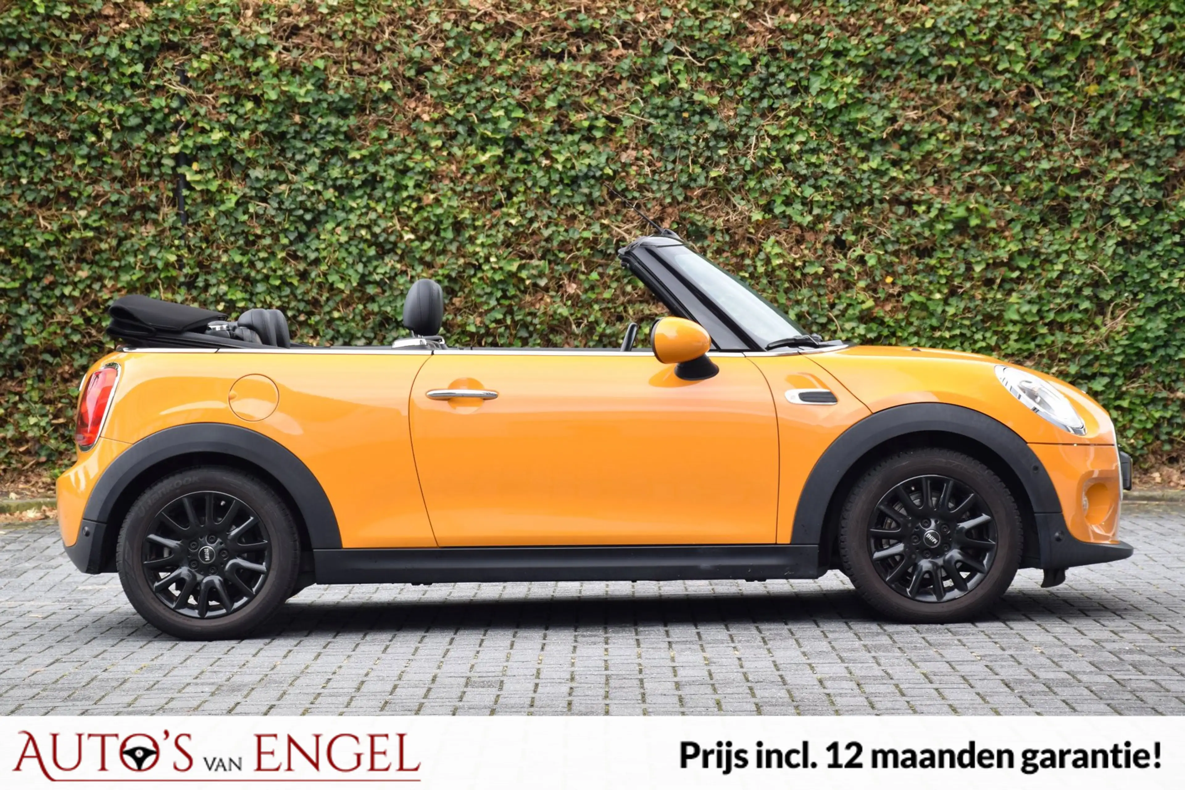 MINI One Cabrio 1.2 Pepper/Goed onderhouden/NW banden/Stoelverwarm — photo 4