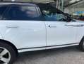 Land Rover Range Rover Velar 2.0D HSE 4WD Aut. 240 Weiß - thumbnail 24