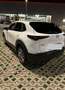 Mazda CX-30 1.8 Exceed 2wd 116cv 6mt - thumbnail 2