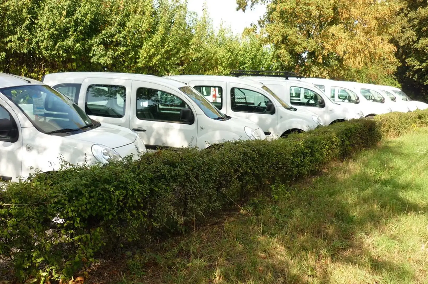 Renault Kangoo x 12 àpd/vanaf 5.950 euros + TVA/BTW Wit - 1