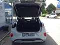 Ford Puma E-Gen 43kWh Premium Grau - thumbnail 7