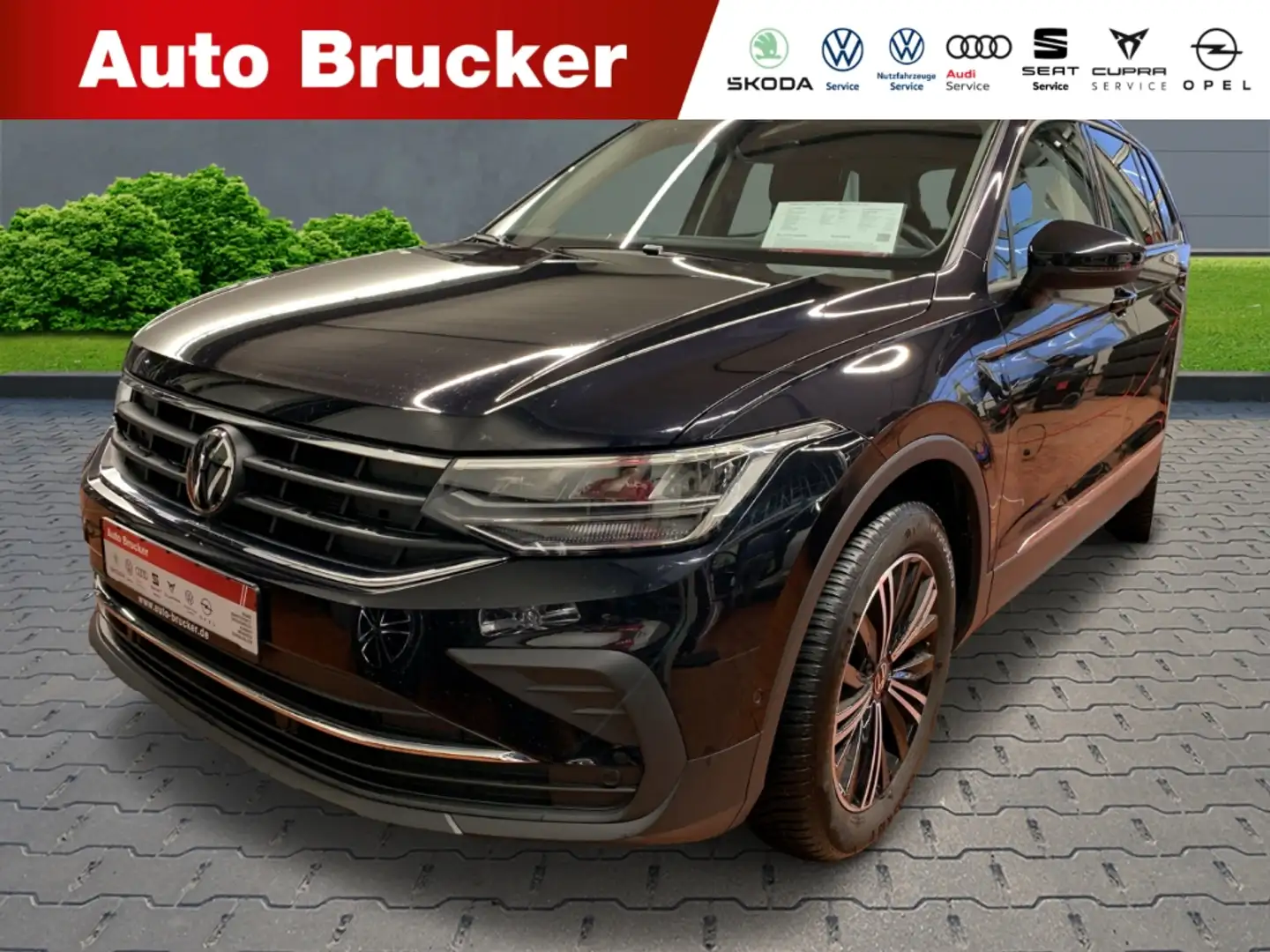 Volkswagen Tiguan Life 4Motion 2.0 TDI+AHK+Navi+el.Sitze Noir - 1