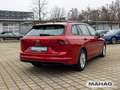 Volkswagen Golf Variant Golf VIII Variant 1.0 TSI LIFE Navi LED ACC 6-Ga Rot - thumbnail 8