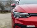 Volkswagen Golf Variant Golf VIII Variant 1.0 TSI LIFE Navi LED ACC 6-Ga Rot - thumbnail 11