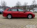 Volkswagen Golf Variant Golf VIII Variant 1.0 TSI LIFE Navi LED ACC 6-Ga Rot - thumbnail 7