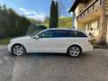 Mercedes-Benz C 200 T CDI Elegance A-Edition BlueEfficiency Aut. Weiß - thumbnail 7