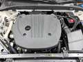 Volvo V60 2.0 B3 Ultimate Dark | 19 inch LM-Velgen | Panoram Gris - thumbnail 35