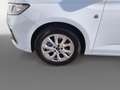 Ford Tourneo Connect 2,0 EcoBlue L1 Titanium Aut. Weiß - thumbnail 14
