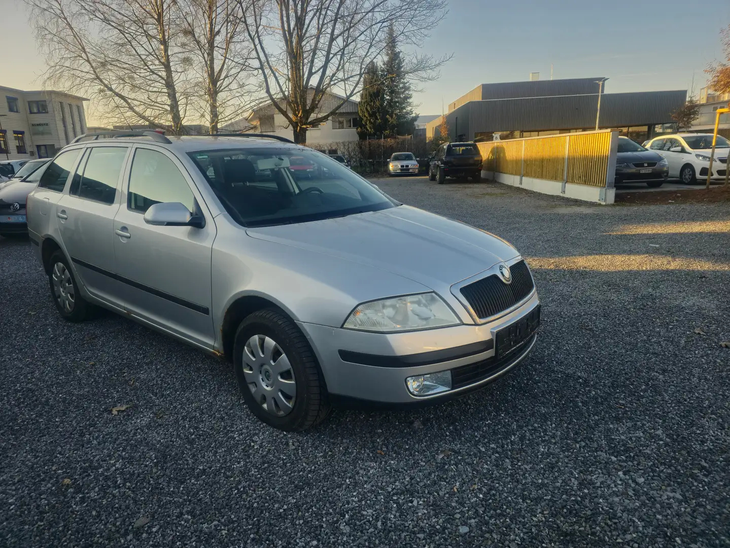 Skoda Octavia Deutsche Papier. TDI 4x4 Grau - 2