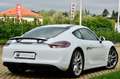 Porsche Cayman 981 3.4 GTS 340cv PDK, UFF ITA, SCARICO, PERMUTE Bianco - thumbnail 6