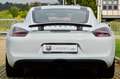 Porsche Cayman 981 3.4 GTS 340cv PDK, UFF ITA, SCARICO, PERMUTE Bianco - thumbnail 5