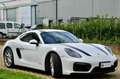 Porsche Cayman 981 3.4 GTS 340cv PDK, UFF ITA, SCARICO, PERMUTE Bianco - thumbnail 7