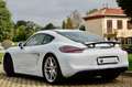 Porsche Cayman 981 3.4 GTS 340cv PDK, UFF ITA, SCARICO, PERMUTE Bianco - thumbnail 4