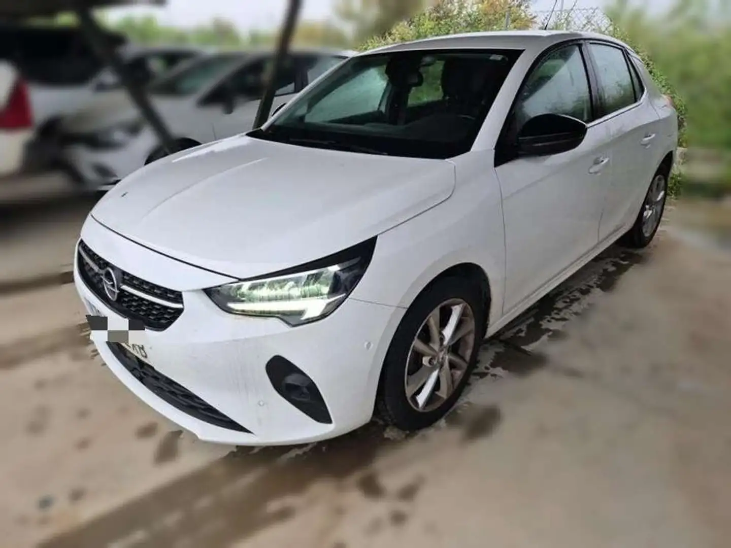 Opel Corsa 1.2T XHL S/S Elegance 100 Blanco - 1