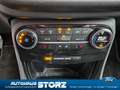 Ford Puma Titanium X NAVI|ACC|KAMERA|WINTER-PK|FAHRASSISTENZ Schwarz - thumbnail 17