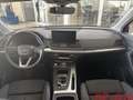 Audi Q5 Q5 40 TDI 204 CV quattro S tronic Grau - thumbnail 18