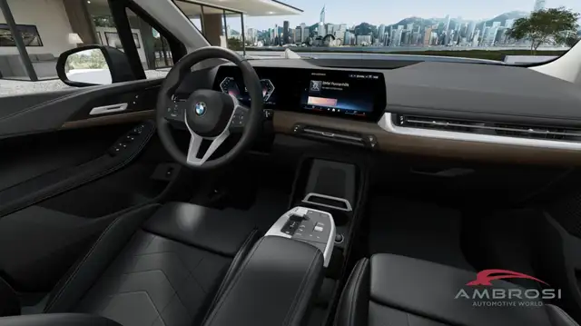 BMW 2 Series view 9