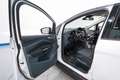 Ford Grand C-Max 1.0 Ecoboost Auto-S&S Edition 125 Bílá - thumbnail 18