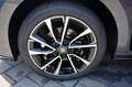 Skoda Fabia 1.5 TSI DSG Monte Carlo 5JG+CAM+17"+SHZ Gris - thumbnail 16
