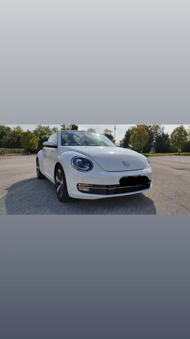 Volkswagen Maggiolino Cabrio 1.6 tdi Design 105cv - 1