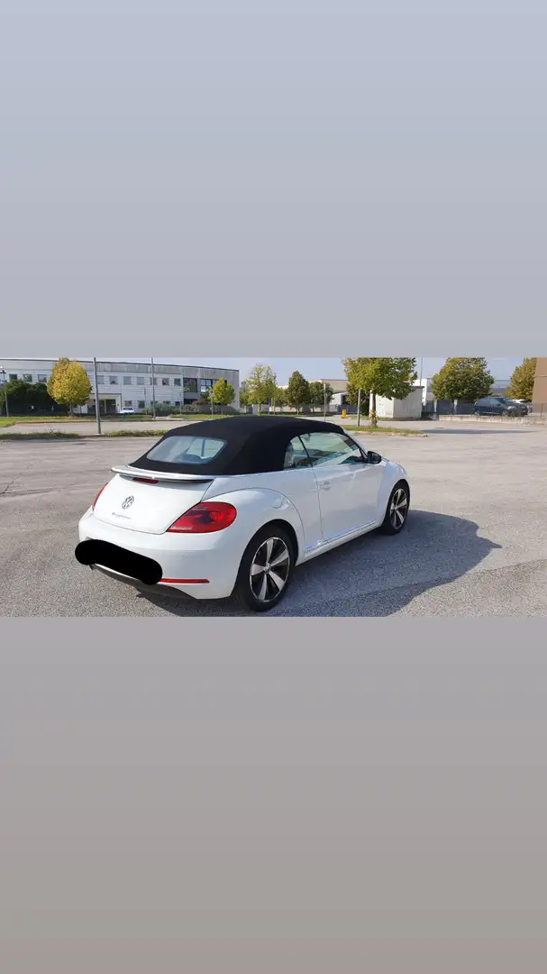 Volkswagen Maggiolino Cabrio 1.6 tdi Design 105cv - 2
