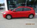 Ford Focus Trend Rot - thumbnail 3