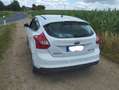 Ford Focus Focus Electric Weiß - thumbnail 7