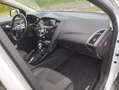 Ford Focus Focus Electric Weiß - thumbnail 4