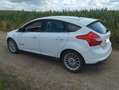 Ford Focus Focus Electric Weiß - thumbnail 8