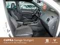 SEAT Ateca 2.0 TDI FR (EURO 6d) Weiß - thumbnail 5