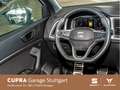 SEAT Ateca 2.0 TDI FR (EURO 6d) Weiß - thumbnail 10