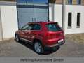 Volkswagen Tiguan 4Motion Standheizung Xenon Leder AHK CAM Rot - thumbnail 3