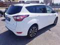 Ford Kuga 2.0 tdci ST-Line s&s AWD 150cv Powershift Blanc - thumbnail 6