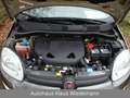 Fiat New Panda 0.9 8V TwinAir LOUNGE - 1.Hd./14 TKM Grau - thumbnail 11