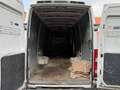 Iveco Daily IV 35..15 E4 L4 H2 GEMELLATO NO IVA 6500 Bianco - thumbnail 5
