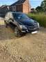 Mercedes-Benz ML 300 CDI 4Matic 7G-TRONIC DPF BlueEFFICIENCY Grand Edit - thumbnail 3