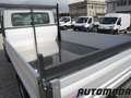Iveco Daily Ribaltabile Tri. 35C14 Bianco - thumbnail 7