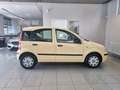 Fiat Panda 1.2 8V Classic*KLIMA*TÜV* Gelb - thumbnail 8
