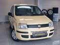 Fiat Panda 1.2 8V Classic*KLIMA*TÜV* Gelb - thumbnail 4