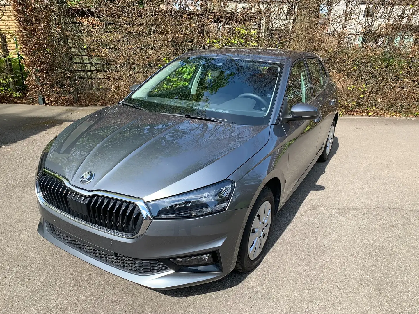 Skoda Fabia Fabia 1.0 TSI Zilver - 1