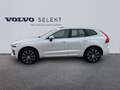 Volvo XC60 T6 AWD 253 + 145ch Utimate Style Chrome Geartronic Blanc - thumbnail 2