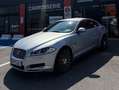 Jaguar XF 2.2 D Business Edition Gris - thumbnail 3