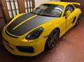 Porsche Cayman 981 GT4 Garanzia Porsche Approved - thumbnail 11