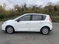 Renault Scenic III 1.5dCi 110 eco2 Exception 2011 - thumbnail 7